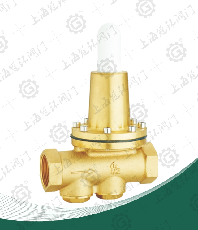 Direct acting adjustable pressure reducing valve