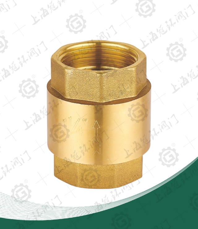 Brass vertical check valve